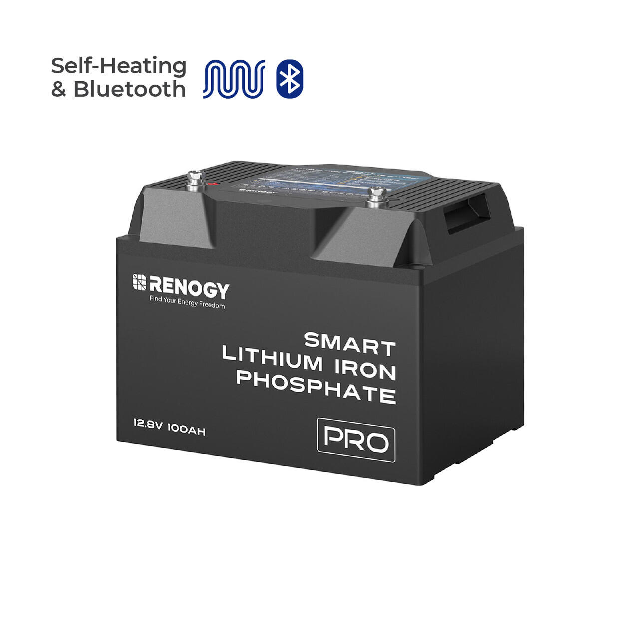 Litiumbatteri PRO, 12V | 100Ah | 1280Wh